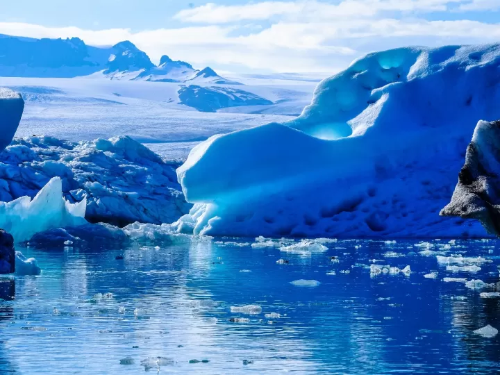 forro polar para botas de agua