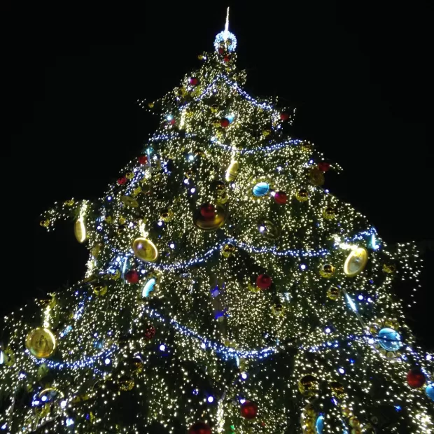 frases de navidad cortas