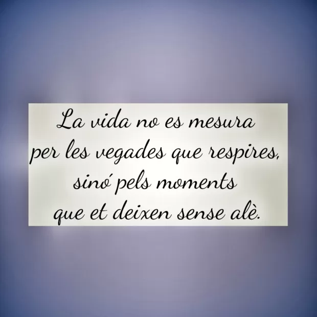 frases del principito en català
