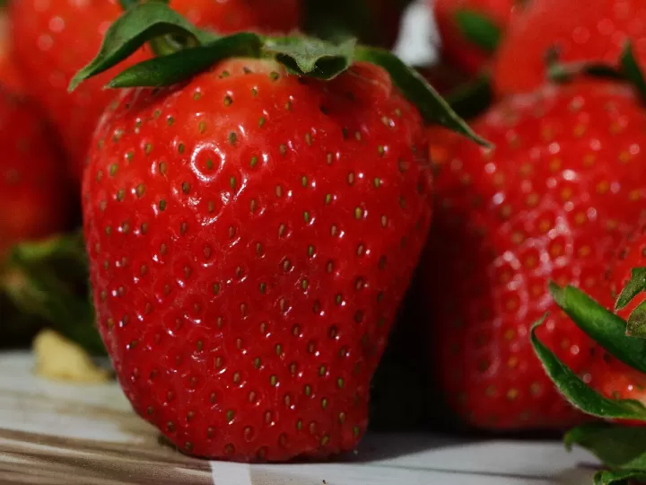fruta confitada fruta escarchada mercadona