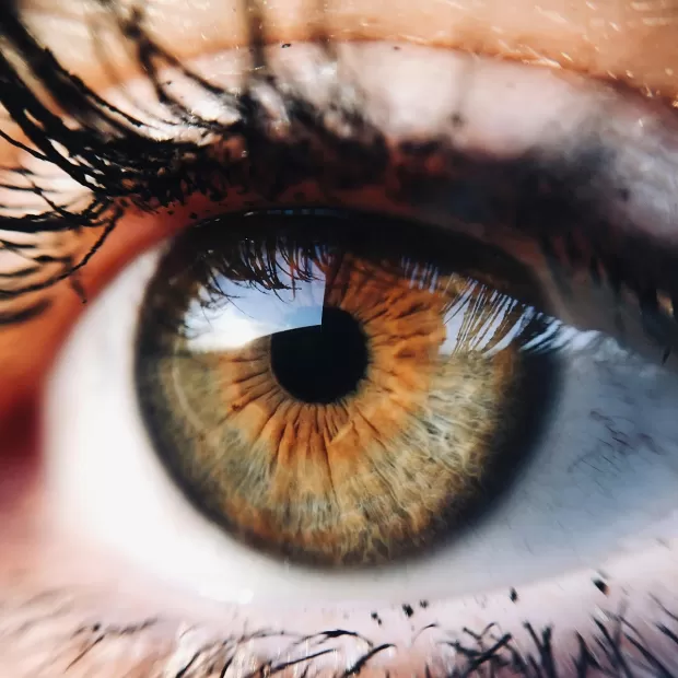 garnier roll on ojos cafeina