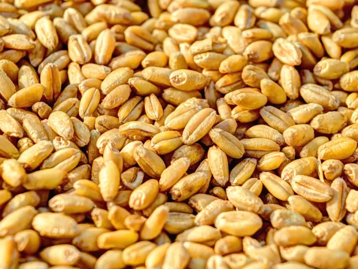 grano en la ceja que duele