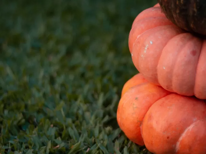 jabón de calabaza mercadona