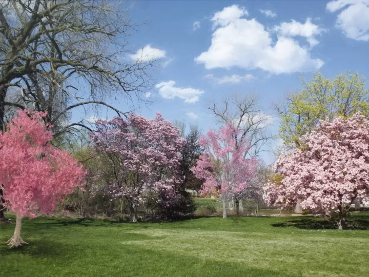 jardineras de flores naturales para todos los santos