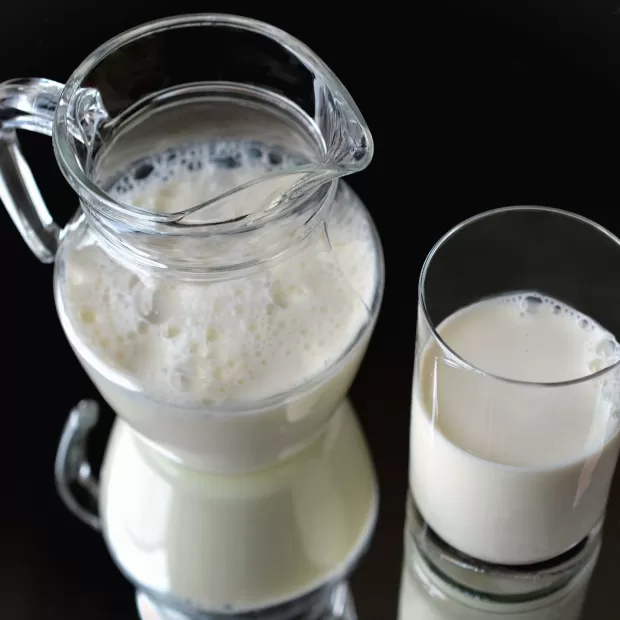 la leche fermentada engorda