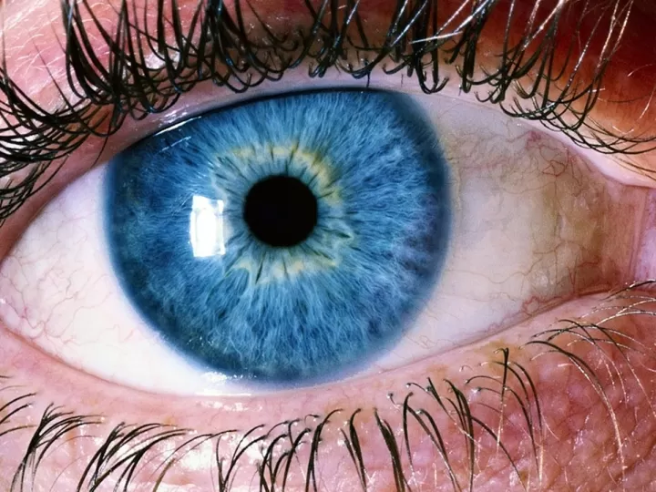 lápiz de ojos azul para ojos marrones