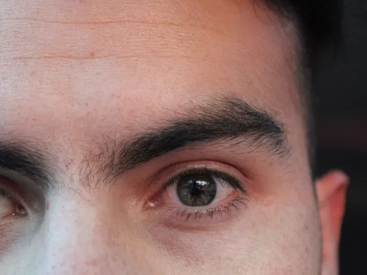 las partes laterales de un cuerpo visto de frente