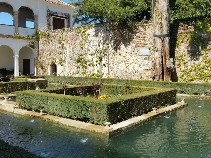 limoncello villa massa mercadona