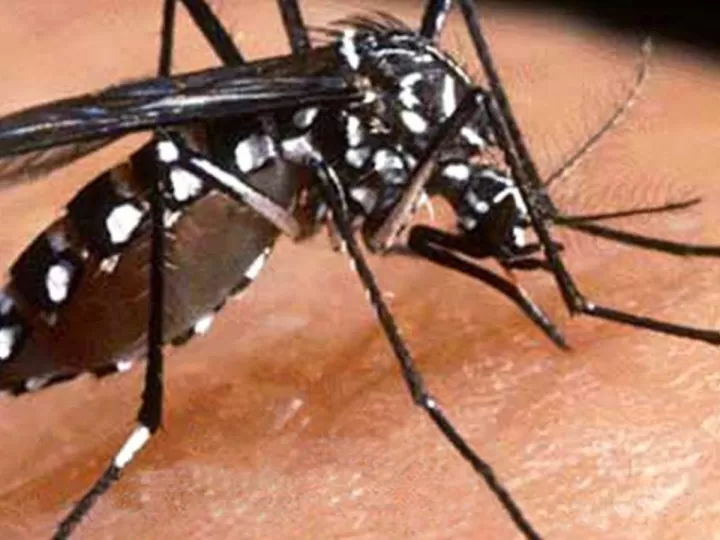 listado hoteles wonderbox desconecta dos días