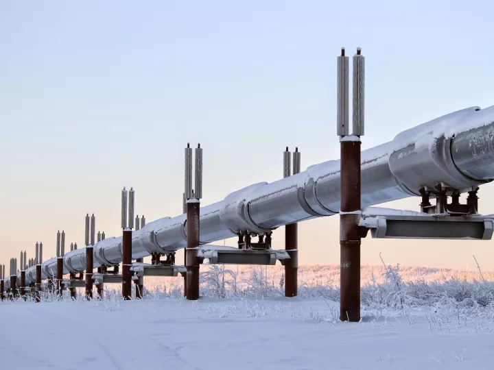 magrifit piperine farmacia