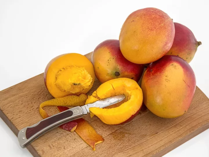 mango xativa