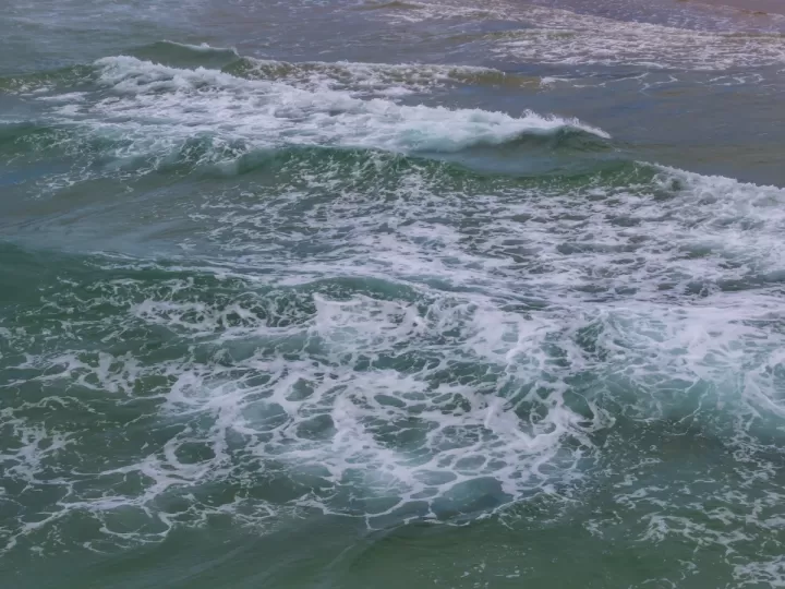 marea te voy a decir la verdad