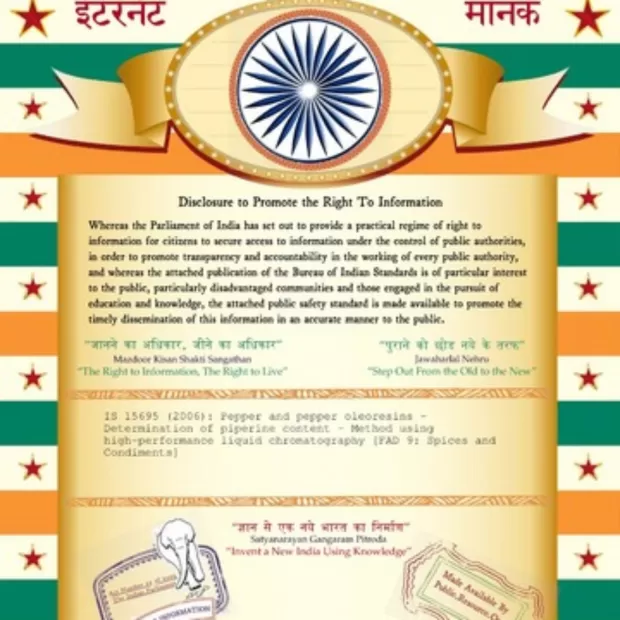 piperine magrifit opiniones