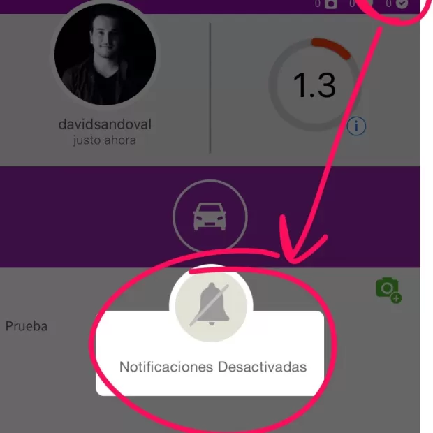 plantillas para activar la circulación
