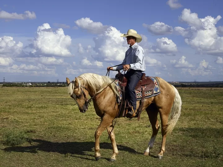 porque mi caballo me empuja con la cabeza