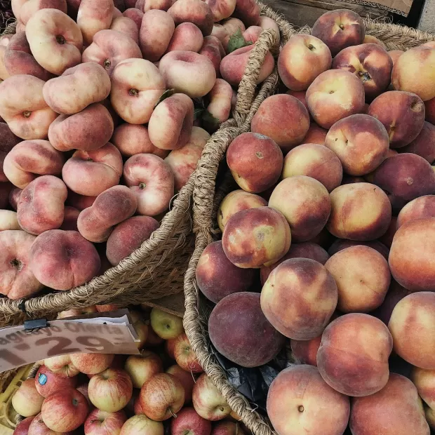 postoperatorio hemorroides foro