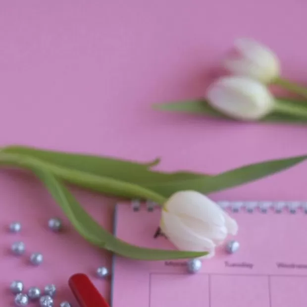 precio test embarazo mercadona