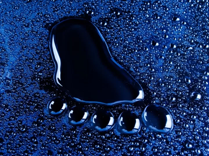 protector dedos pies mercadona precio