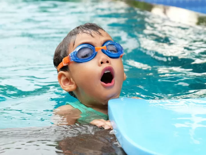 pulgas de agua en piscina