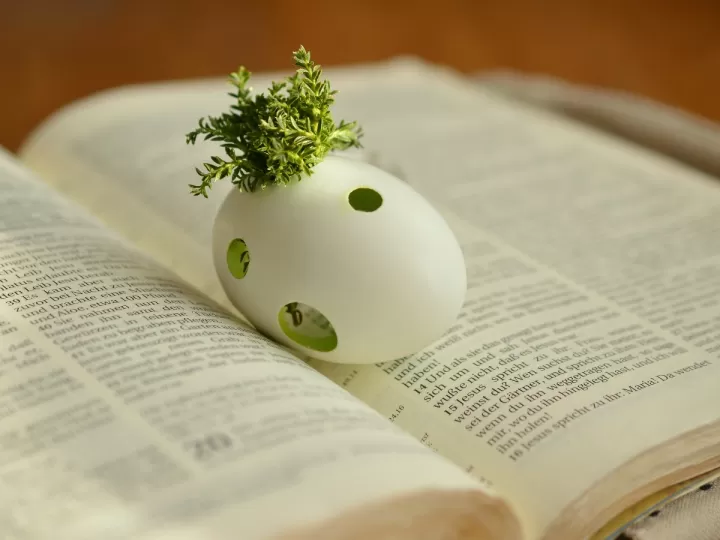 resurrector after party