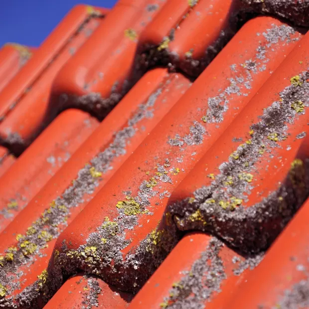 revista de patrones de trajes de flamenca