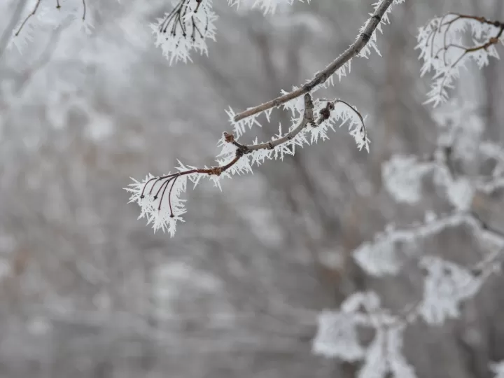 rym cicatrizante para fisuras anales