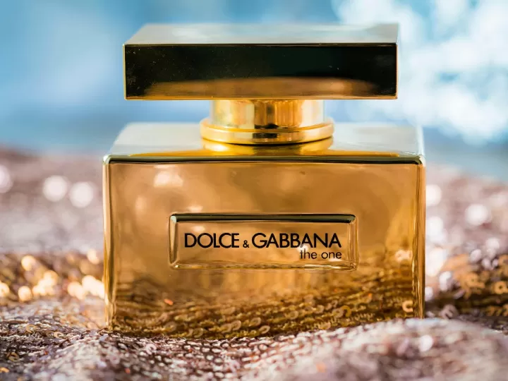 saphir dolce gabbana the one