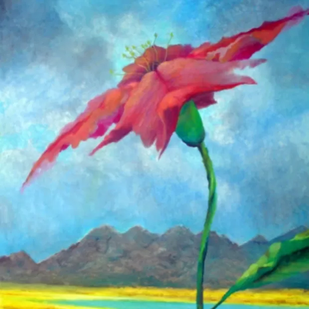 se puede mezclar niacinamida y ácido hialurónico