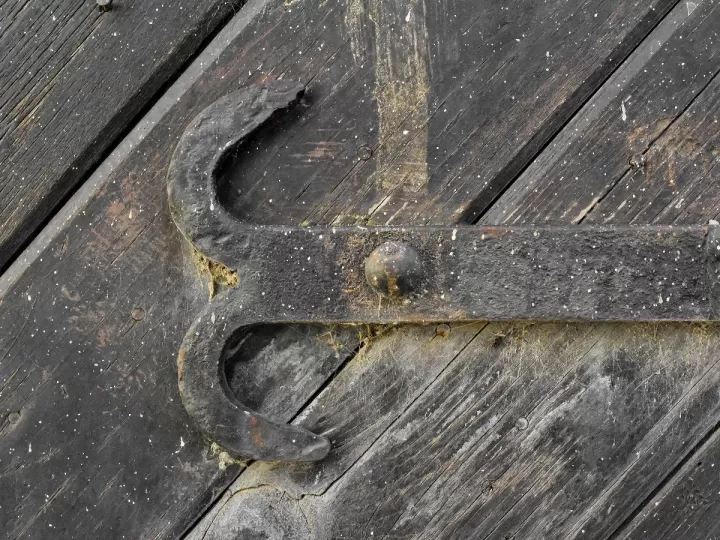 sujetador selene barato