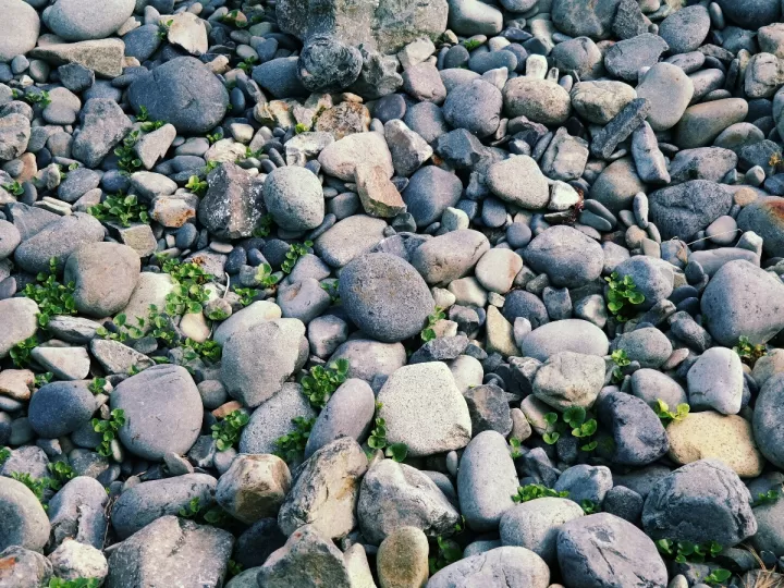 toallitas comprimidas mercadona