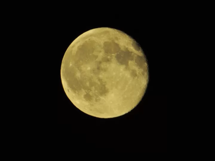 tomar rhodiola por la noche