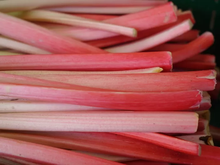 turrones sin lactosa mercadona