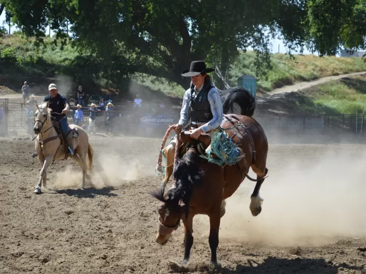 vaqueros encuentro