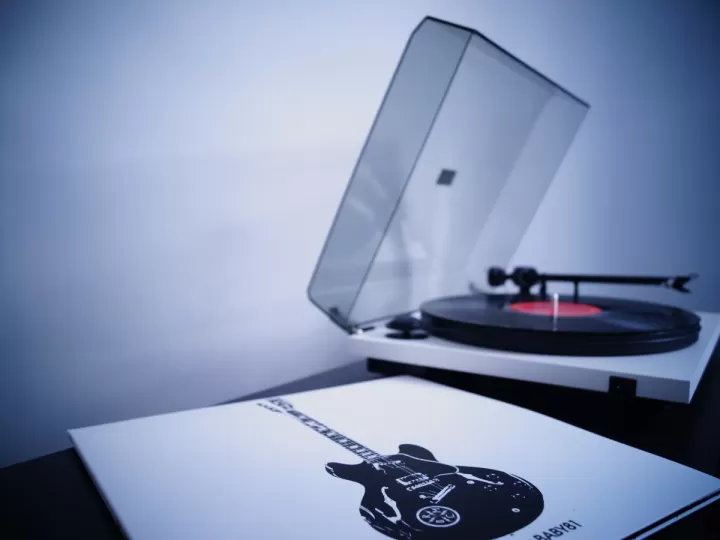 vinilos lubina